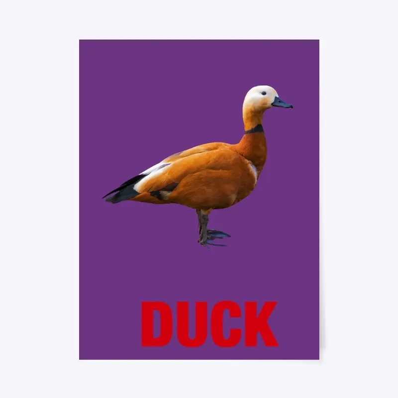 DUCK t-shirt